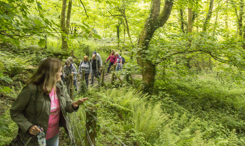 Photograph of Walking Route - Image 4