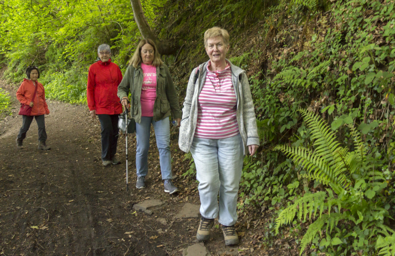 Photograph of Walking Route - Image 5