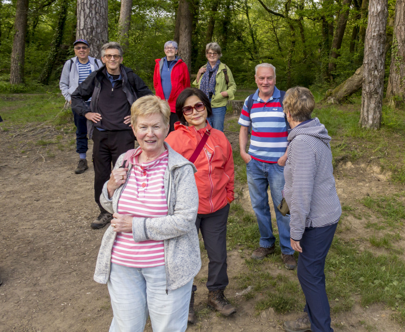 Photograph of Walking Route - Image 13