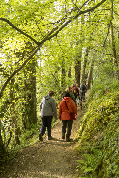 Photograph of Walking Route - Image 14