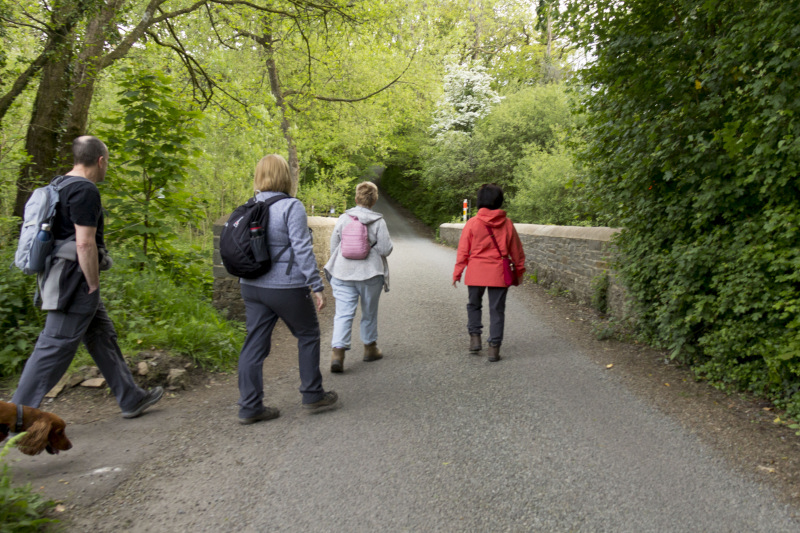 Photograph of Walking Route - Image 16