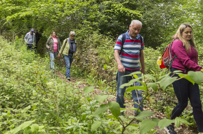 Photograph of Walking Route - Image 18