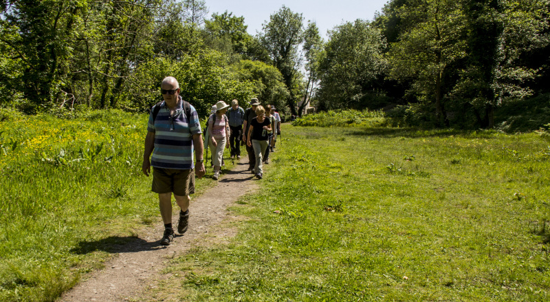 Photograph of Walking Route - Image 36
