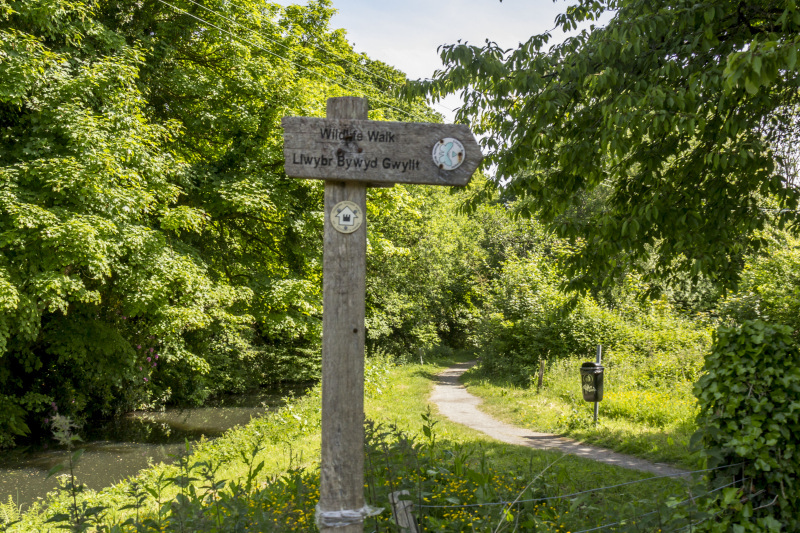 Photograph of Walking Route - Image 7