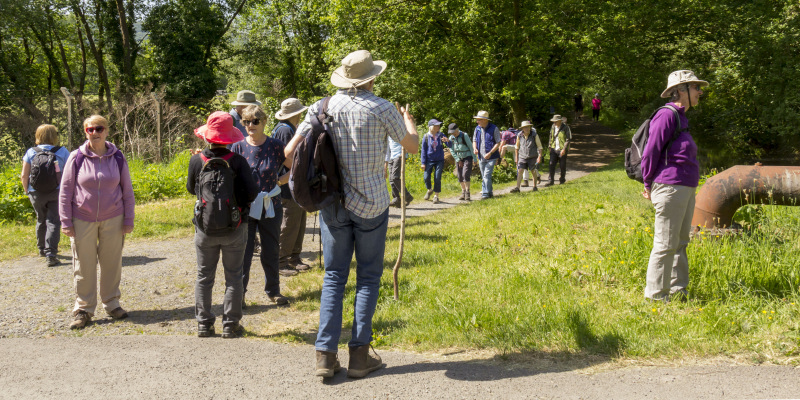 Photograph of Walking Route - Image 8