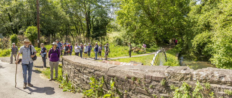 Photograph of Walking Route - Image 9