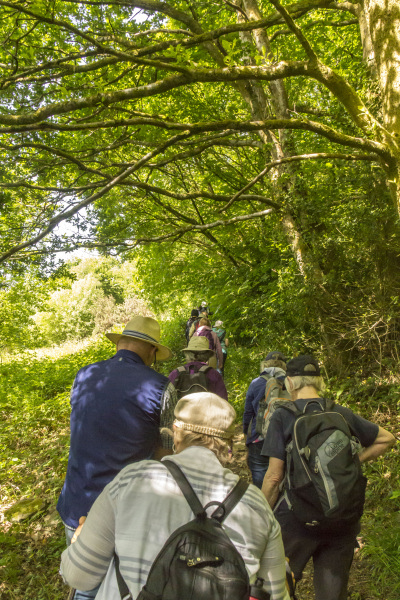 Photograph of Walking Route - Image 15