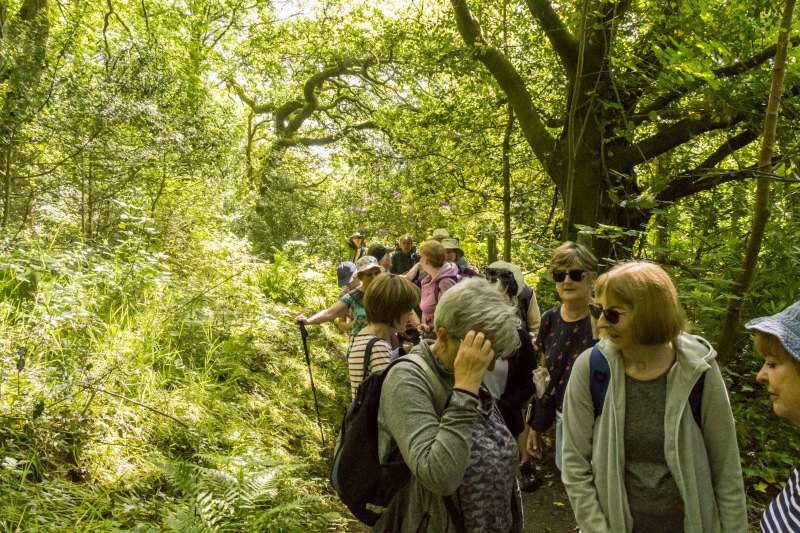 Photograph of Walking Route - Image 16