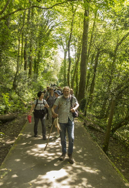 Photograph of Walking Route - Image 18