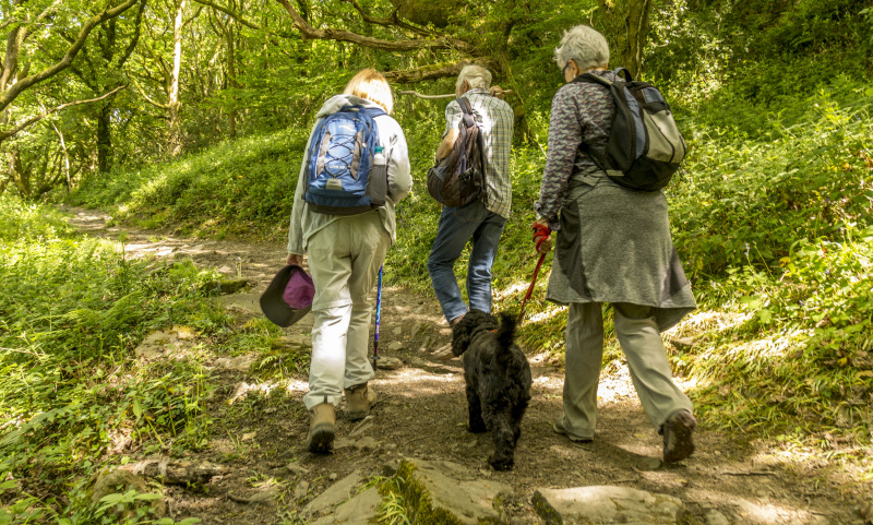 Photograph of Walking Route - Image 19