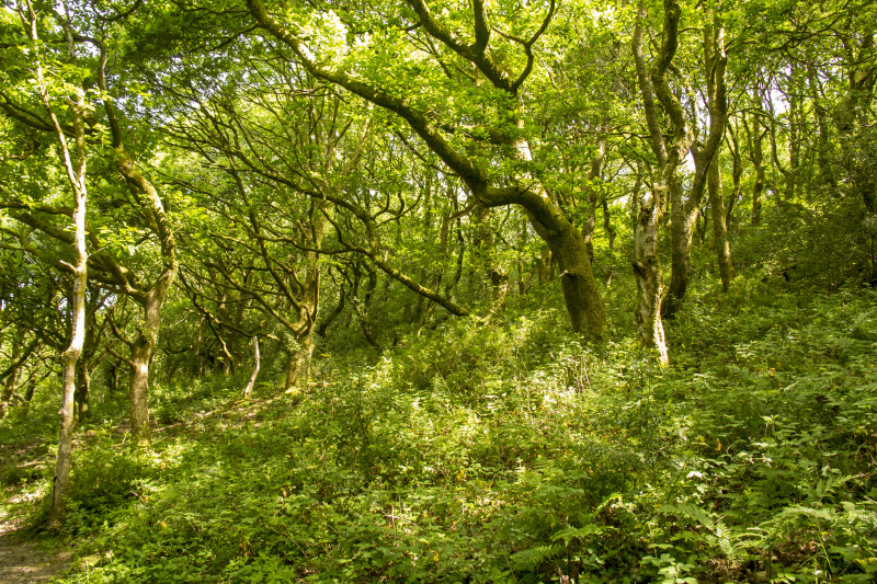 Photograph of Walking Route - Image 20