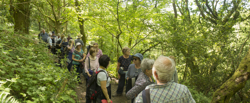 Photograph of Walking Route - Image 21