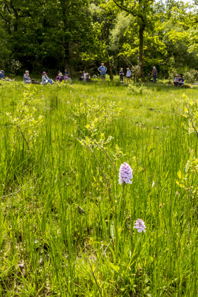 Photograph of Walking Route - Image 37