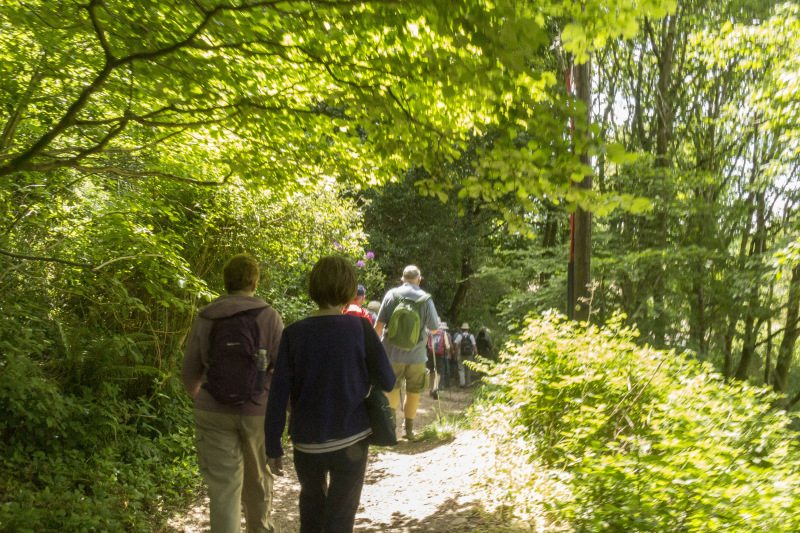 Photograph of Walking Route - Image 40