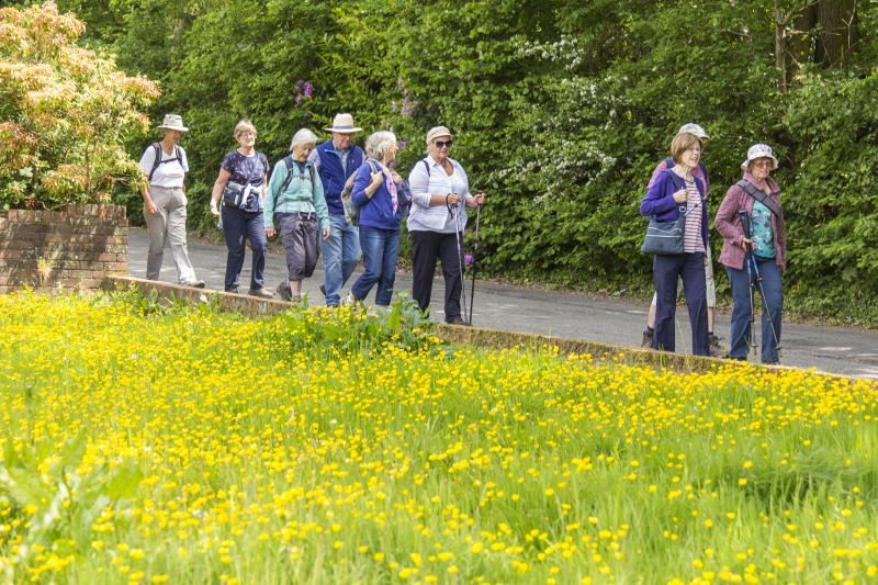 Photograph of Walking Route - Image 41