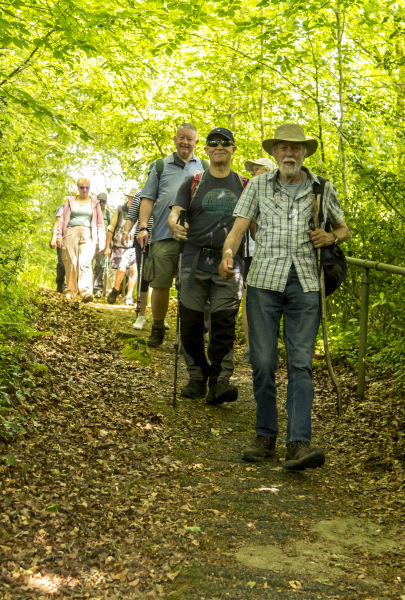 Photograph of Walking Route - Image 42