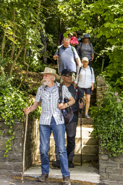 Photograph of Walking Route - Image 43