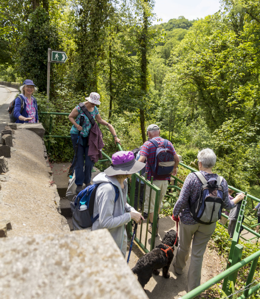 Photograph of Walking Route - Image 45