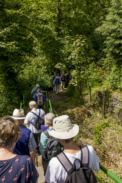 Photograph of Walking Route - Image 46