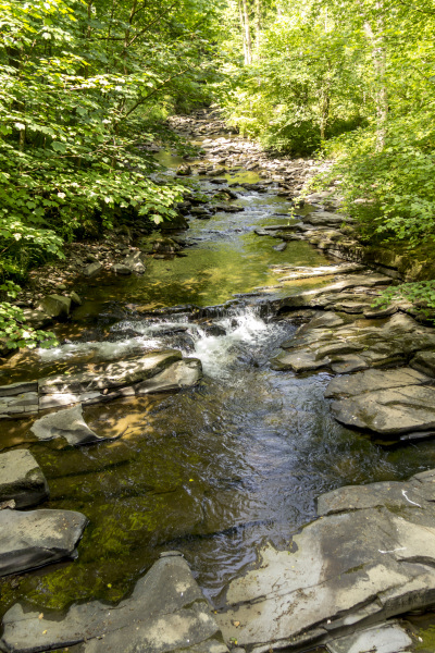 Photograph of Walking Route - Image 47