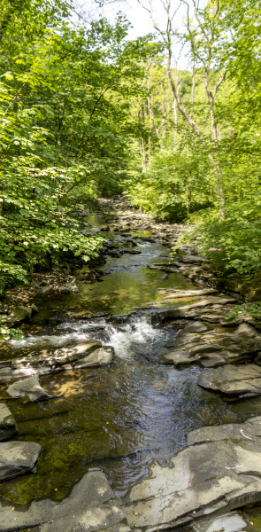 Photograph of Walking Route - Image 48