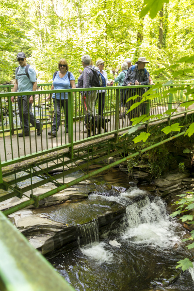 Photograph of Walking Route - Image 49