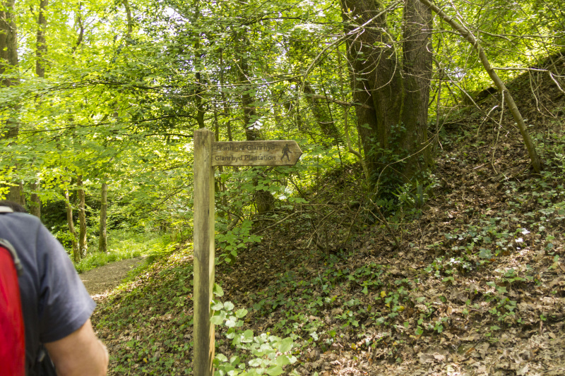 Photograph of Walking Route - Image 50