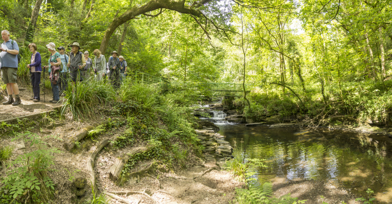 Photograph of Walking Route - Image 51