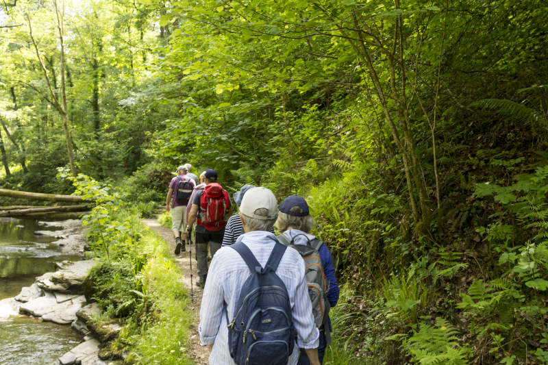 Photograph of Walking Route - Image 52