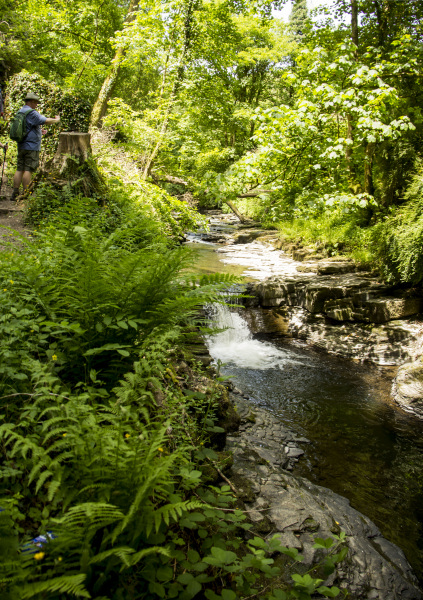 Photograph of Walking Route - Image 54