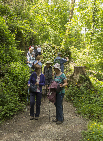 Photograph of Walking Route - Image 55