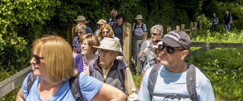 Photograph of Walking Route - Image 56