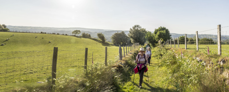 Photograph of Walking Route - Image 6