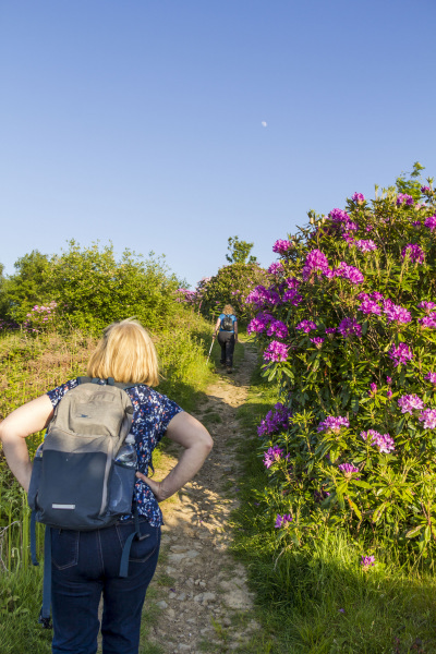 Photograph of Walking Route - Image 8