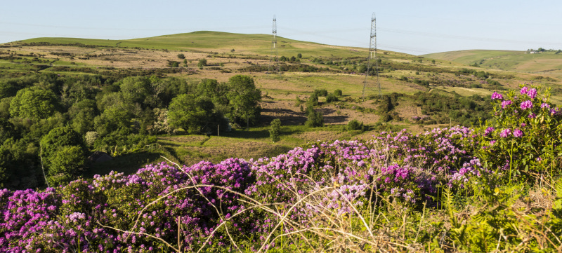 Photograph of Walking Route - Image 9