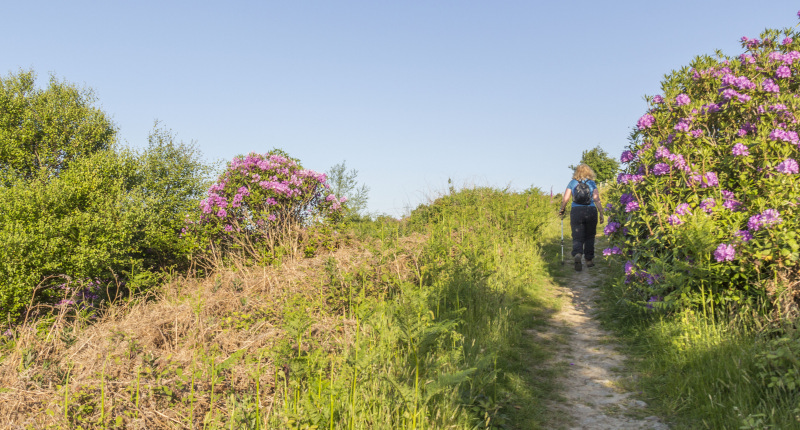 Photograph of Walking Route - Image 11