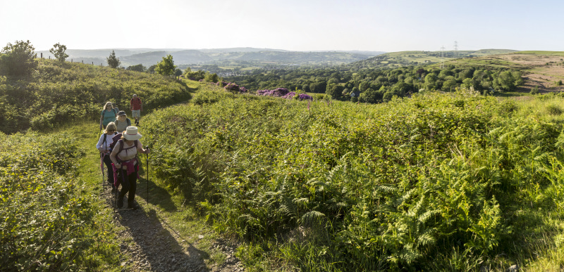 Photograph of Walking Route - Image 12