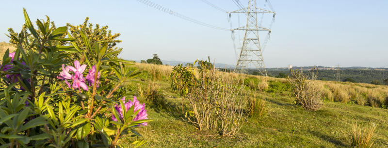 Photograph of Walking Route - Image 20