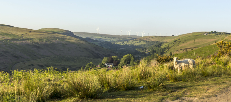 Photograph of Walking Route - Image 28