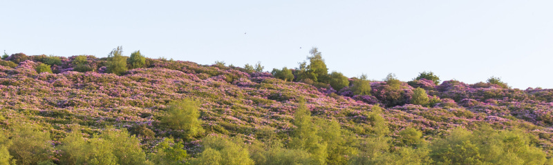 Photograph of Walking Route - Image 32