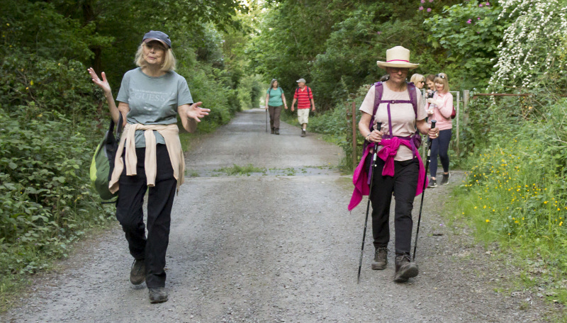 Photograph of Walking Route - Image 33