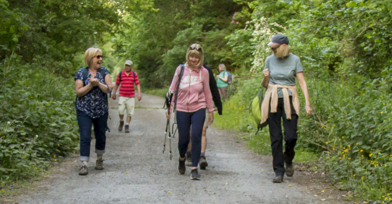 Photograph of Walking Route - Image 34