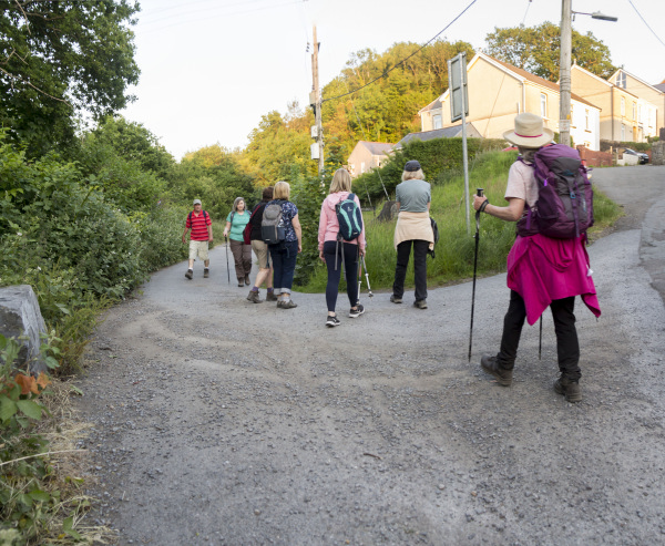 Photograph of Walking Route - Image 35