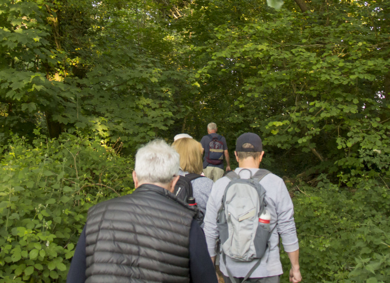 Photograph of Walking Route - Image 10