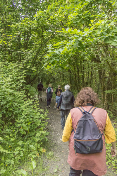 Photograph of Walking Route - Image 11