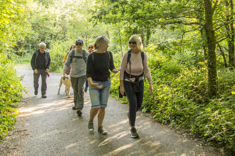 Photograph of Walking Route - Image 15