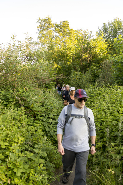 Photograph of Walking Route - Image 17