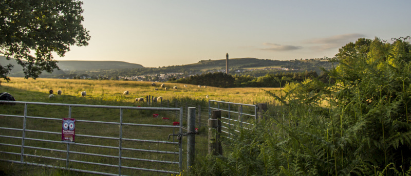 Photograph of Walking Route - Image 25