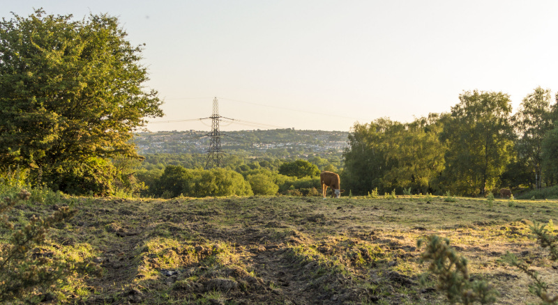 Photograph of Walking Route - Image 26