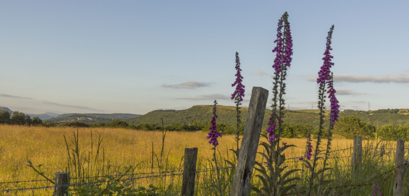 Photograph of Walking Route - Image 29